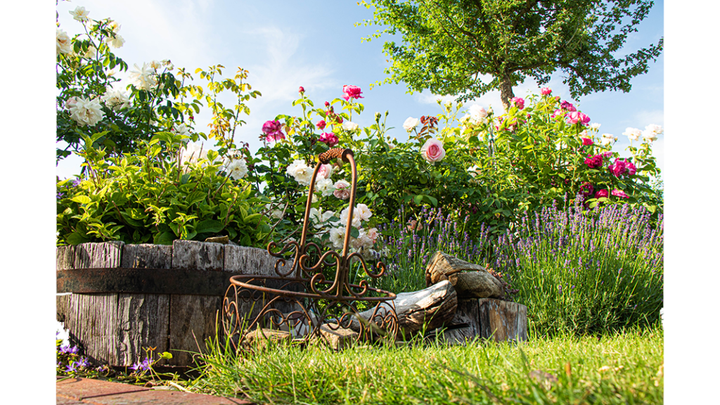 HJB Fotografie - Bauerngarten