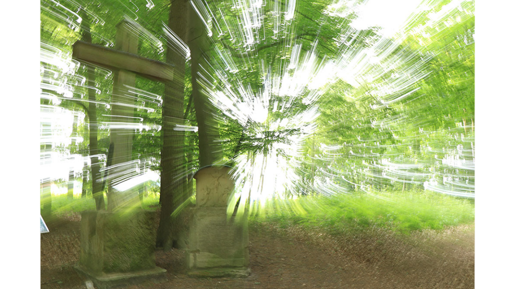 HJB Fotografie - Grünrausch