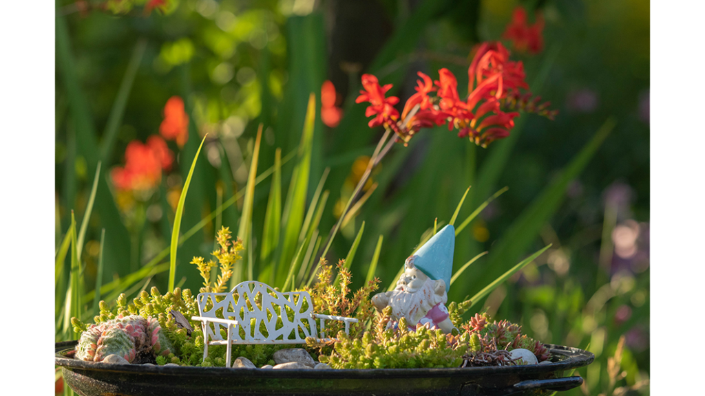 HJB Fotografie - Miniatur-Garten