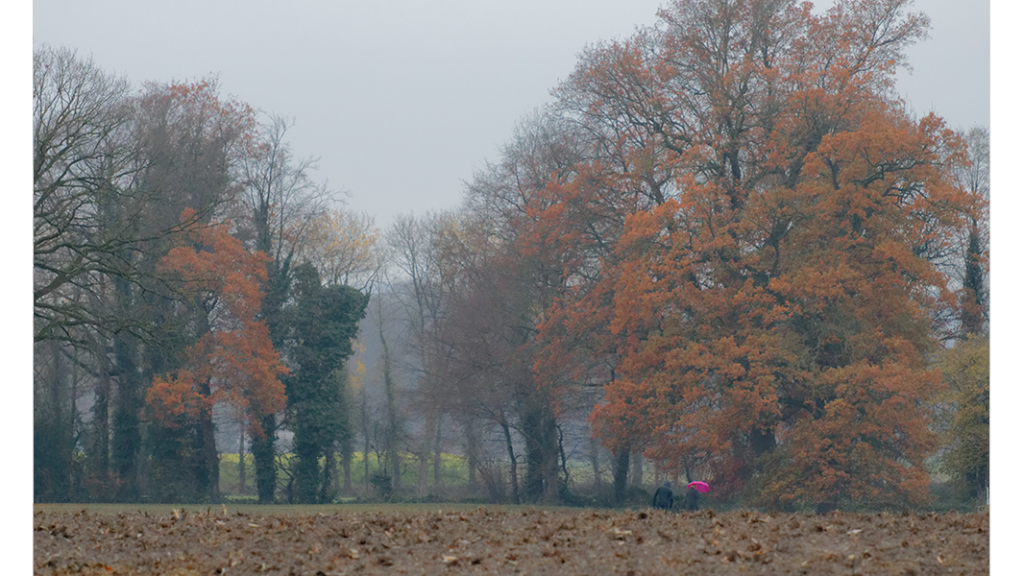 HJB Fotografie - Pink